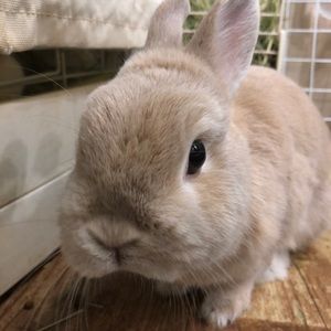 Meet your Posher, Kristine